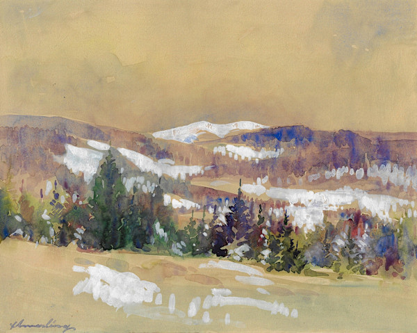 Bavarian Forest by Artist Unknown