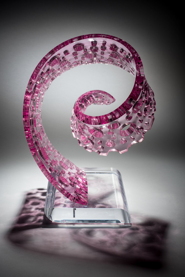 Coral Whorl by Michael Enn Sirvet  (Sirvet Studios LLC)