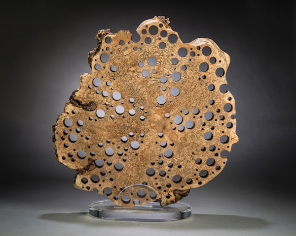 Maple Gale I by Michael Enn Sirvet  (Sirvet Studios LLC)