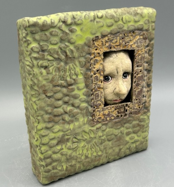 From the inside by Jeanine Pennell