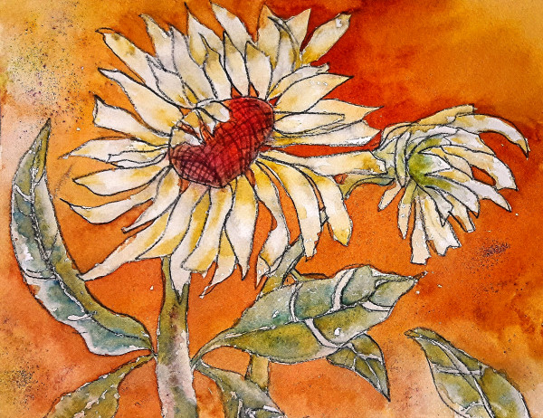 Summer Sunflower by Cynthia Fletcher
