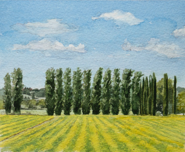 Via Cassia Buonconvento by Mary Chandler