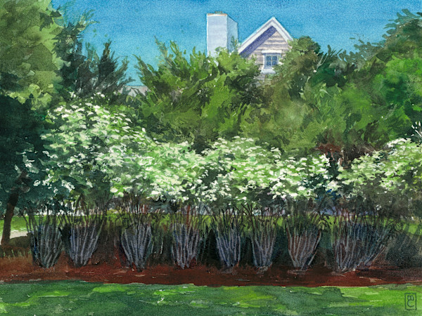 Behind the Shipwreck Museum by Mary Chandler