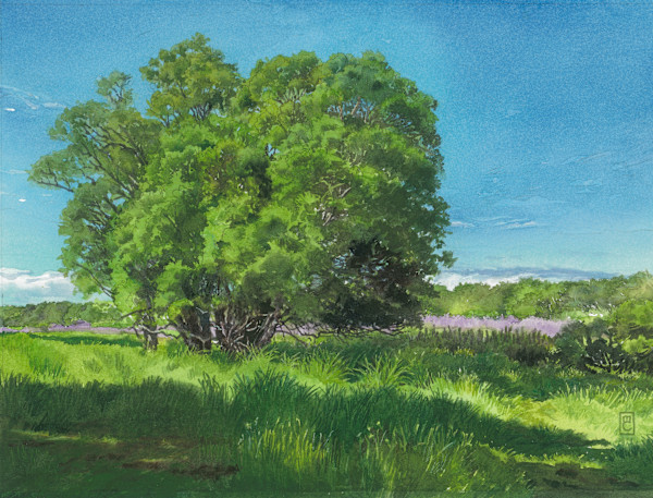 Morning Walk to the Lupine Field by Mary Chandler