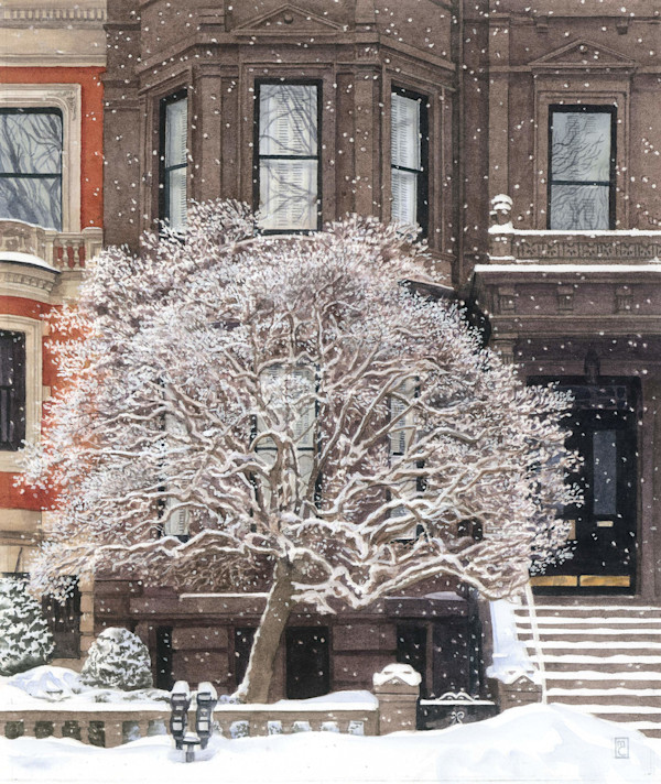 Magnolia in February, Back Bay by Mary Chandler, Image 1.