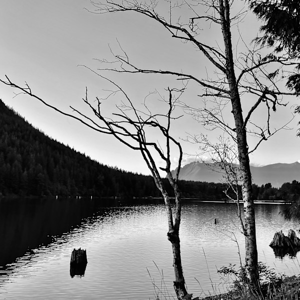 Mountain Lake by Denita Benyshek