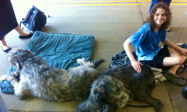 My son and the wolfhounds, after pneumonia by Denita Benyshek