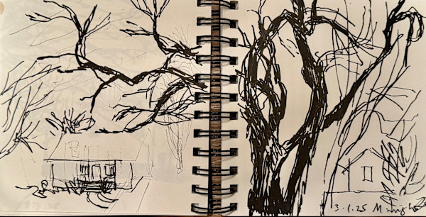 Neighborhood, evening drawing with trees and homes by Denita Benyshek