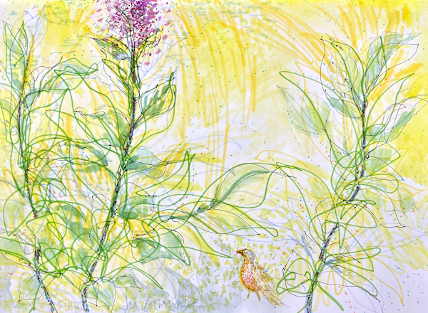 Lilacs and Robin in the Morning by Denita Benyshek