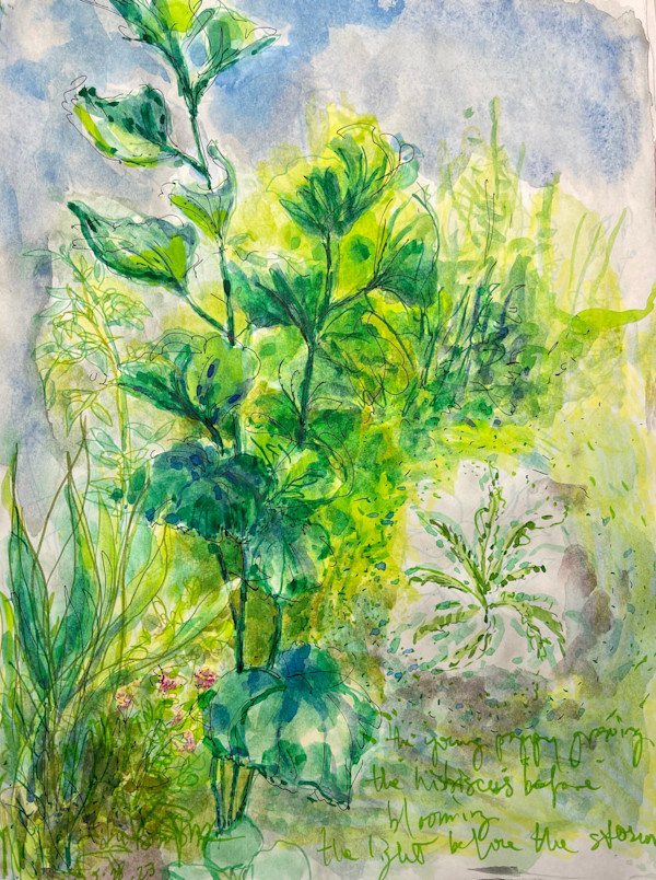 The young poppy growing, the hibiscus before blooming, the light before the storm. by Denita Benyshek
