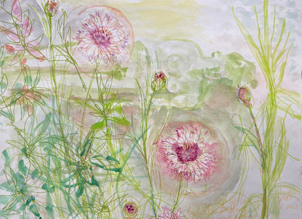 Bachelor Buttons Glowing in the Sun, I Disappear in Light by Denita Benyshek
