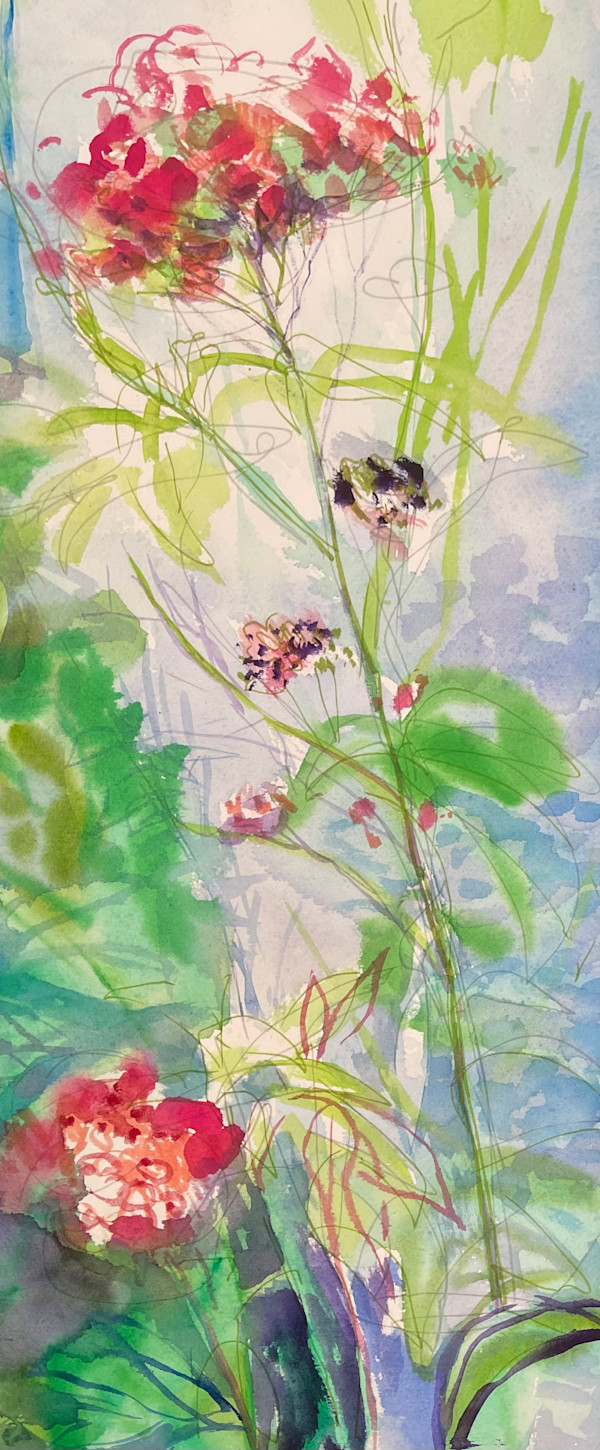 Spirea in Sunbeam by Denita Benyshek