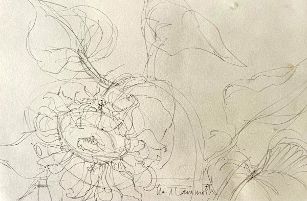The Mammoth Sunflower by Denita Benyshek