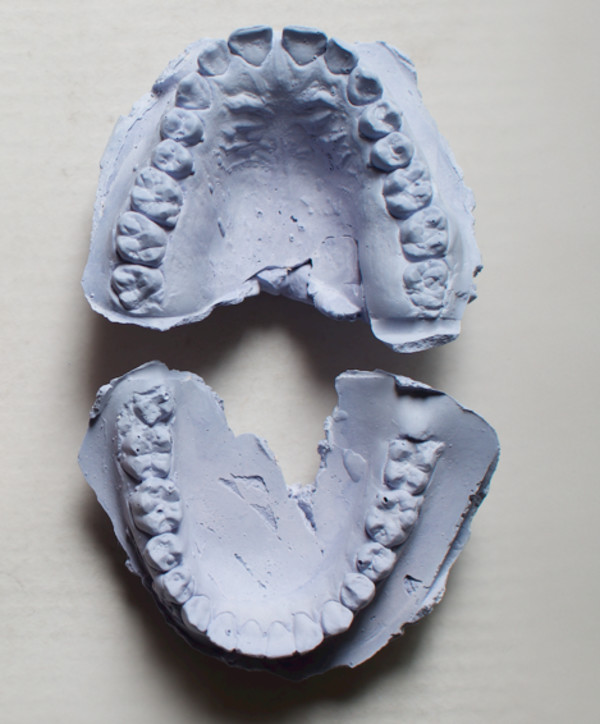 Archivo dental by Maria Méndez