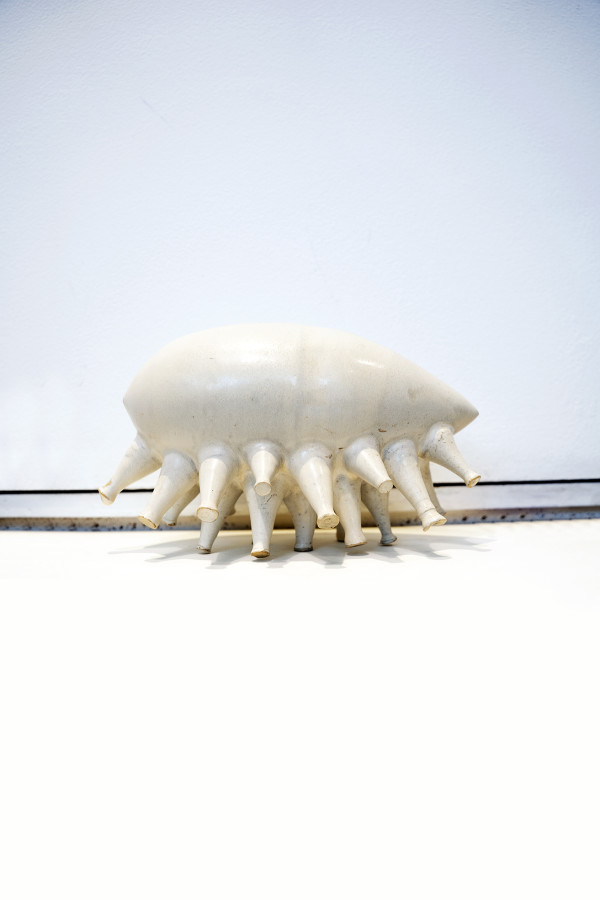 Moluscos bailarines by Felipe González