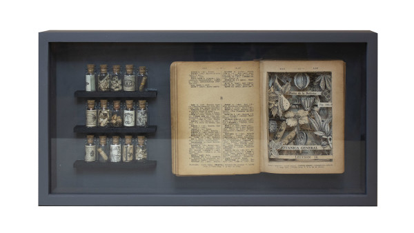 ABC de Botánica by Yuli Cadavid