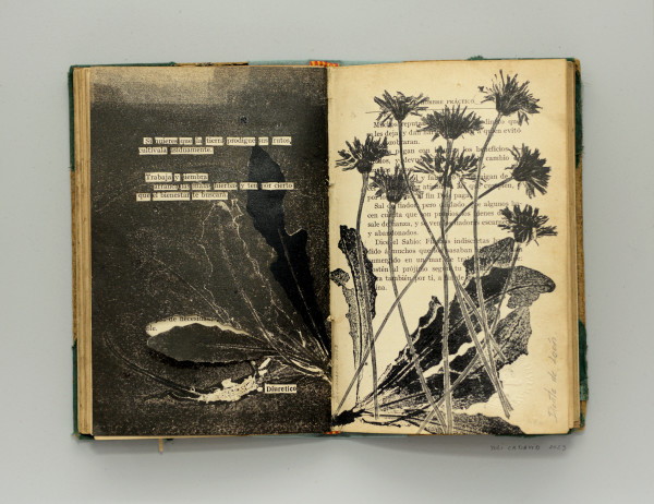 Maleza by Yuli Cadavid