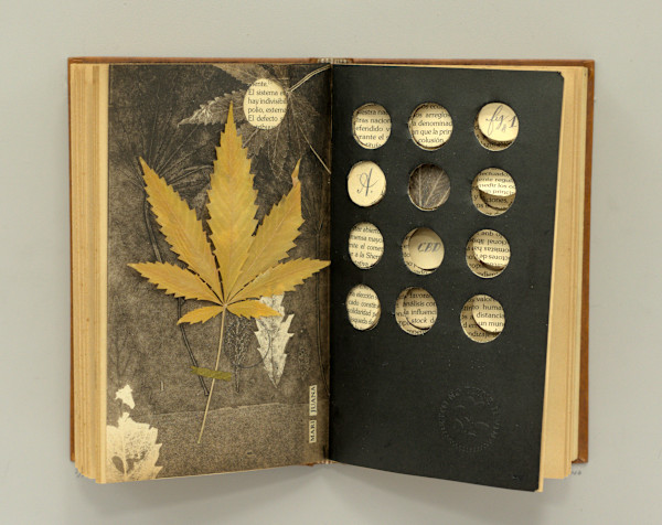 Cannabidiol by Yuli Cadavid