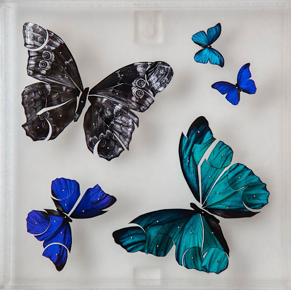 Líneas suspendidas - Mariposas (2 piezas) by Diana M. Beltrán