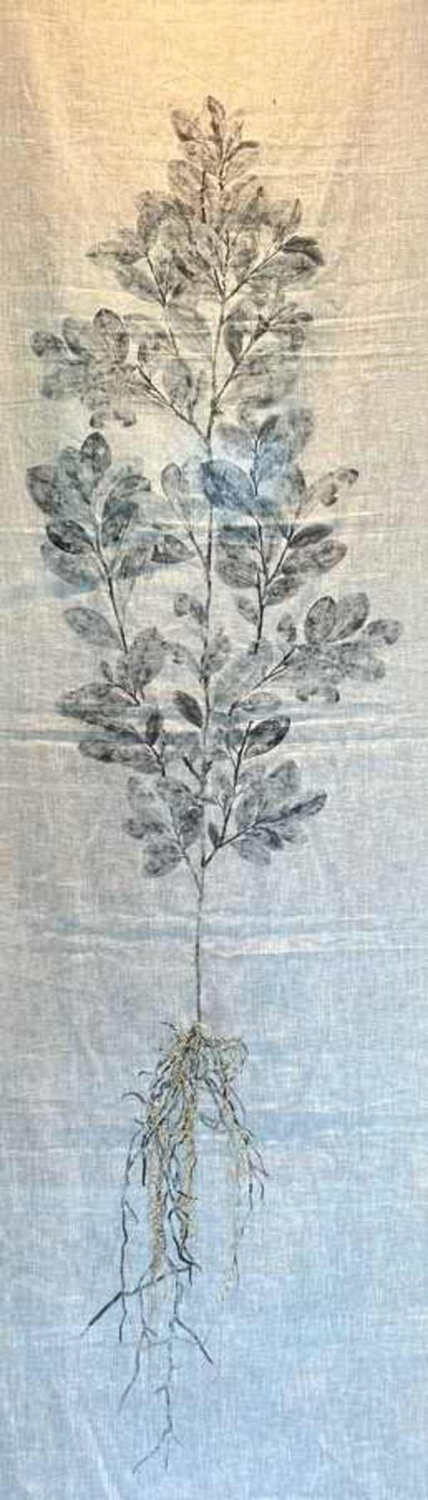 Divina planta by Tatiana Arocha