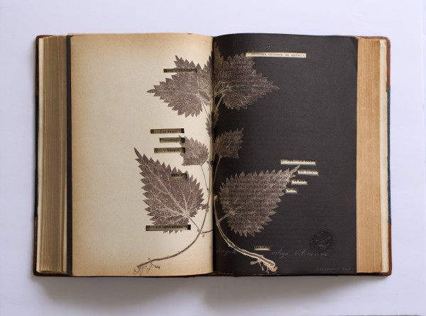 Duele y Cura by Yuli Cadavid