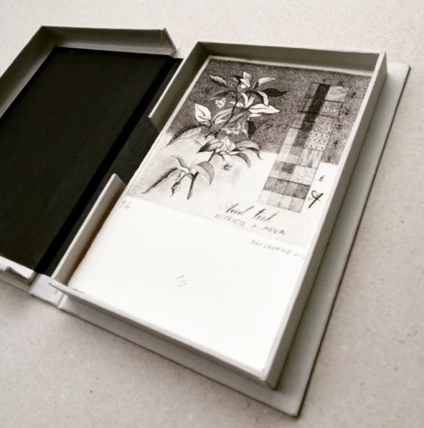 Las matas que curan las curas que matan by Yuli Cadavid