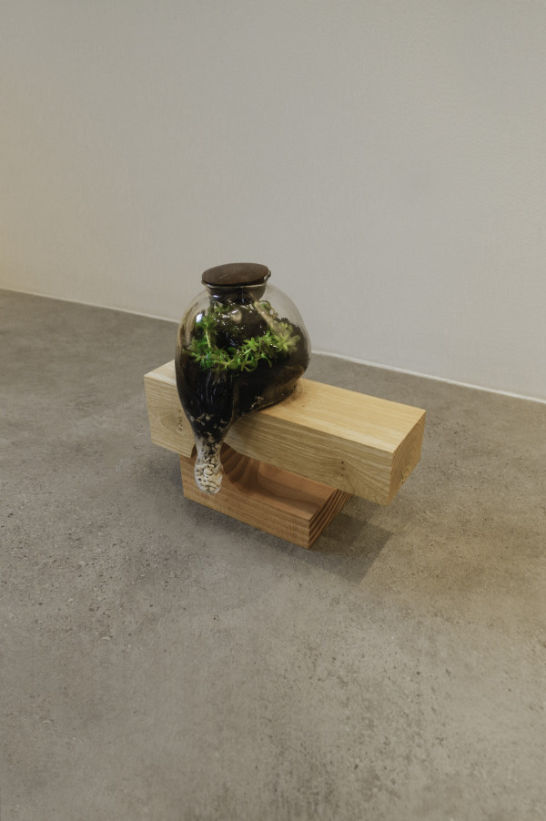 Naturaleza contenida III by Carolina Borrero, Lucas Gallego