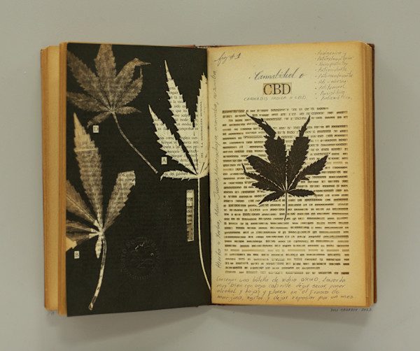 Mari Juana by Yuli Cadavid