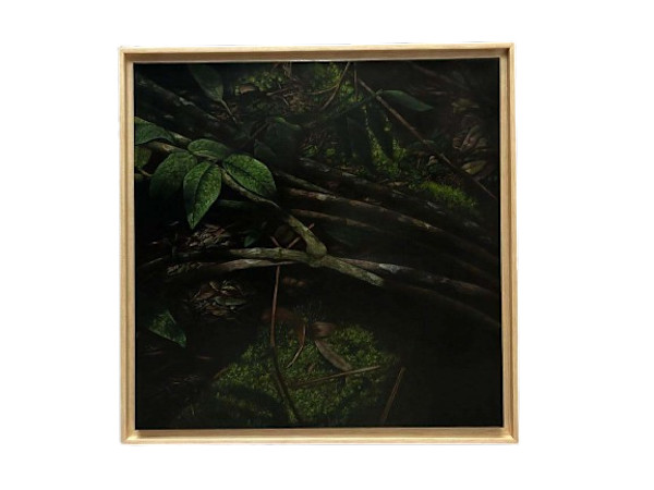 De la Serie Matorral, Matorral XXVII by Yuliana Miranda