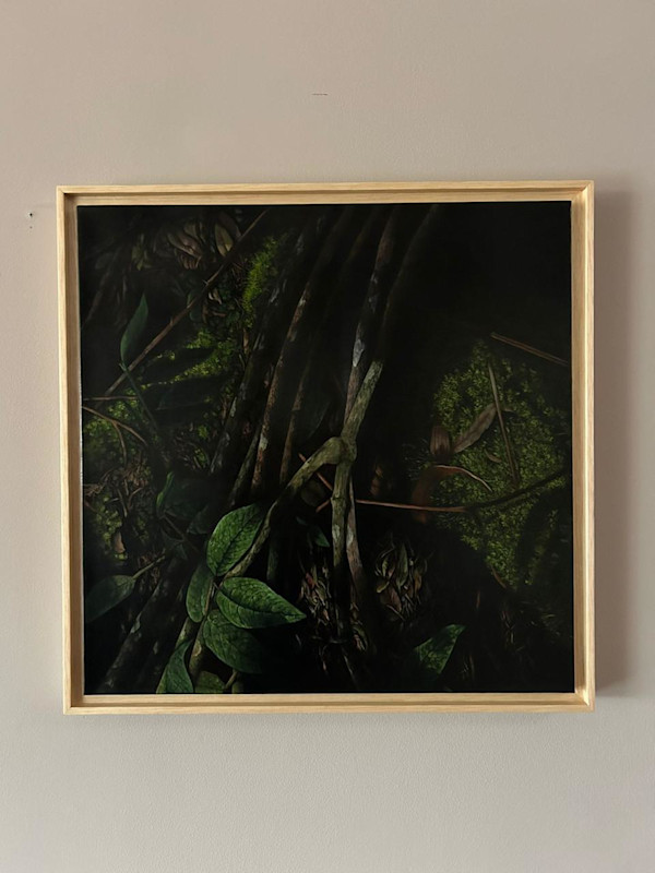 De la Serie Matorral, Matorral XXVII by Yuliana Miranda