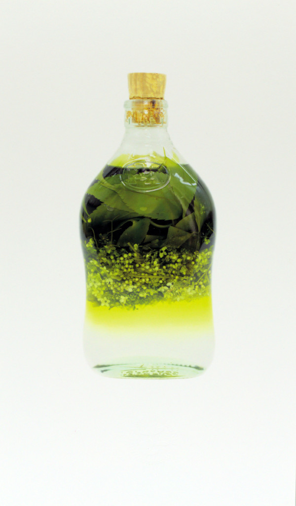 Botella curada I by Yuli Cadavid