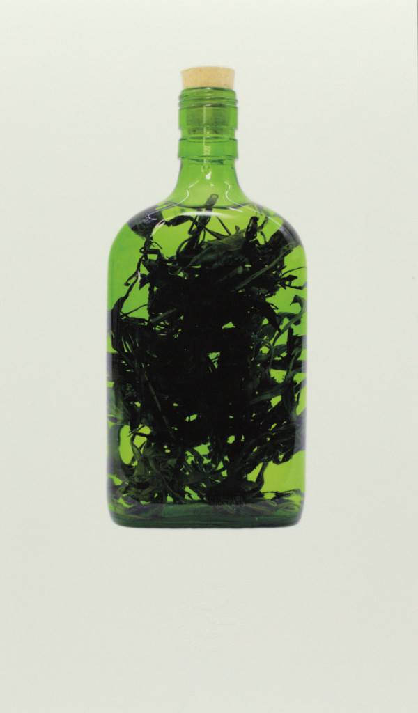 Botella curada IV by Yuli Cadavid