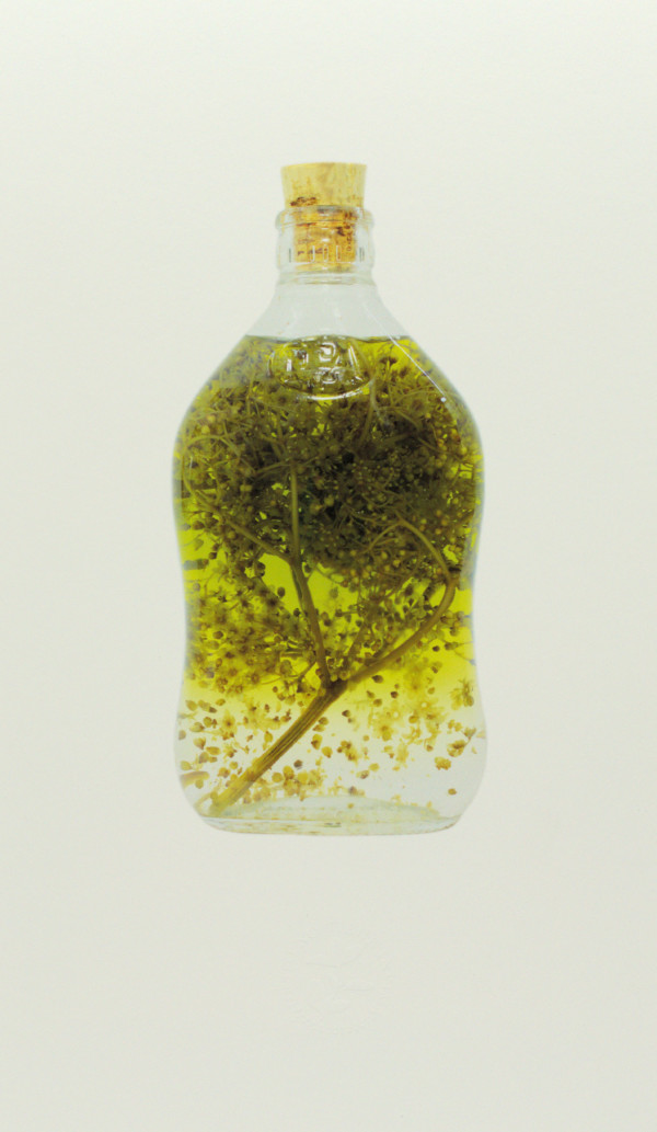 Botella curada VII by Yuli Cadavid