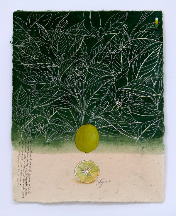 Limón by Yuli Cadavid