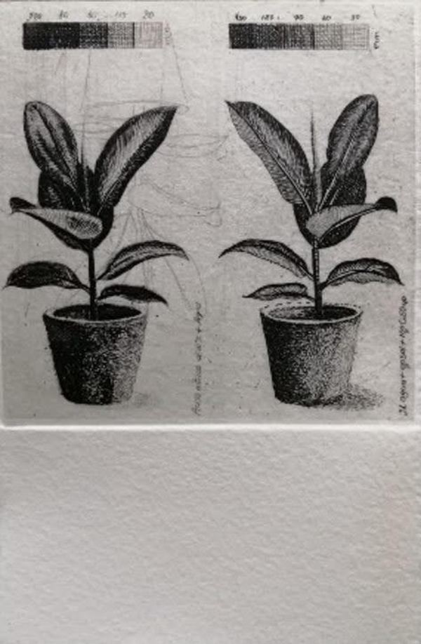 Caucho Ed. 1/10 by Yuli Cadavid