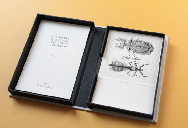 Las matas que curan las curas que matan by Yuli Cadavid