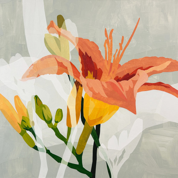 Here Then Gone by Jill Haas