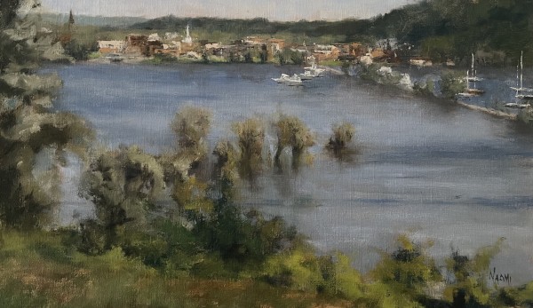 Come Hudson or High Water by Naomi Tiry Salgado