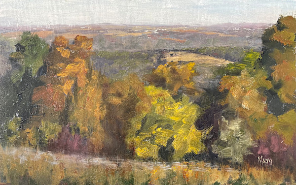 Hilken Hill Overlook by Naomi Tiry Salgado