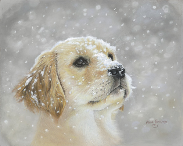 Snowpuppy by Alena Bissinger