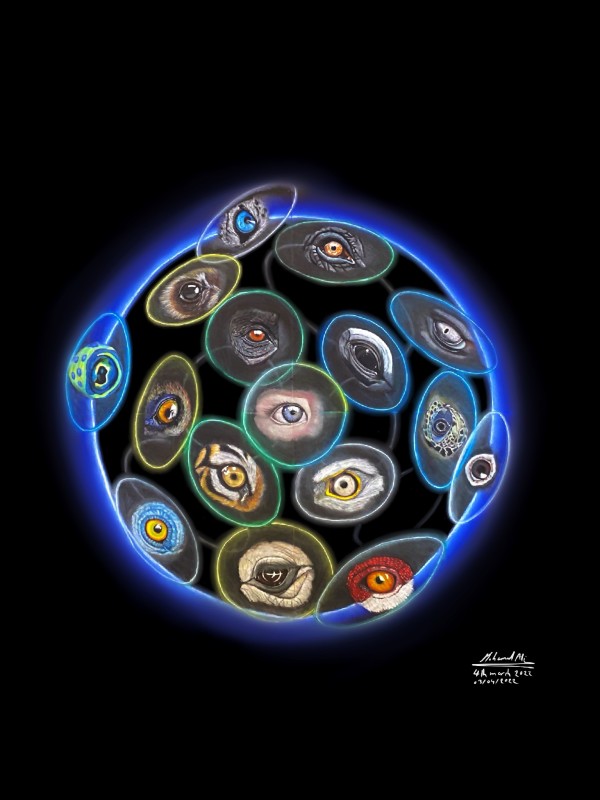 The eyes of truth by mohamed ali