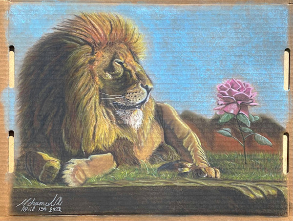 The beauty and the beast by mohamed ali