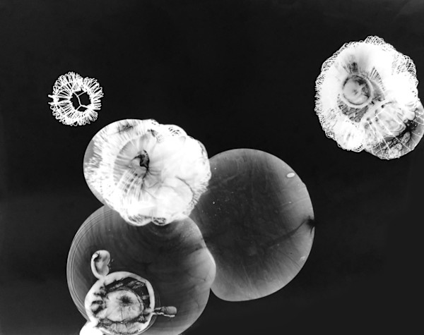 Flare 1 by Beth Dary