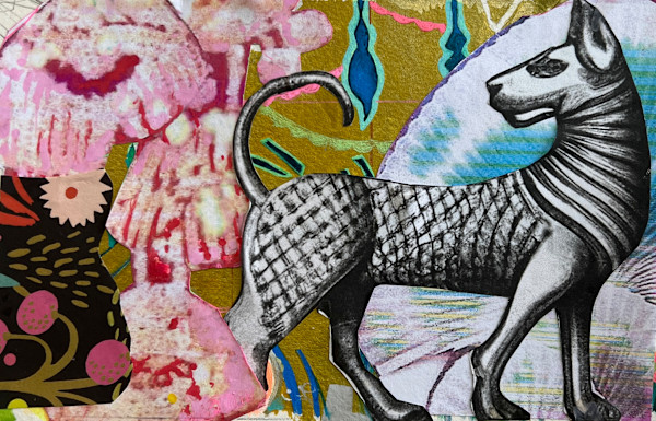 Abyssinian Dog by Carole Paley