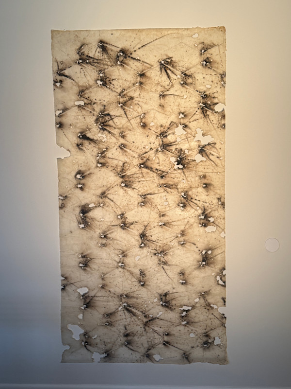 Bustle by Amy Kupferberg