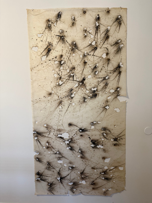 Swarm by Amy Kupferberg