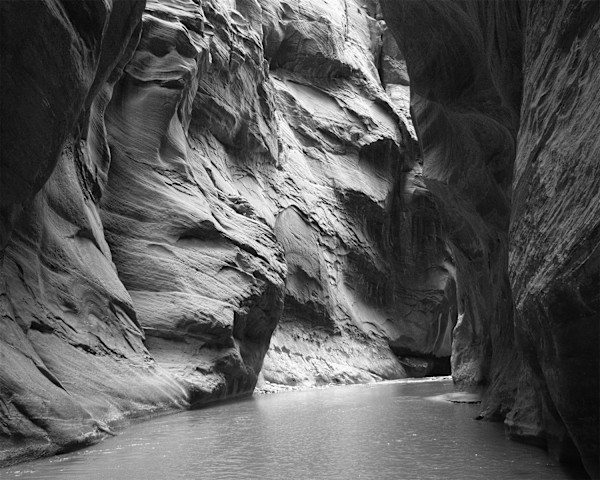 The Narrows by Katerina Leslie