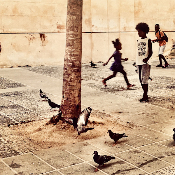 Pigeon Games by Jennie Carr