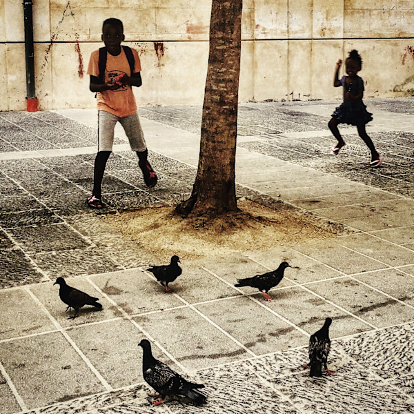 Pigeons Like Candy by Jennie Carr