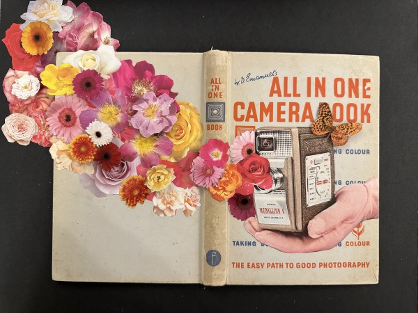 All in One Camera Book by Susan Lerner